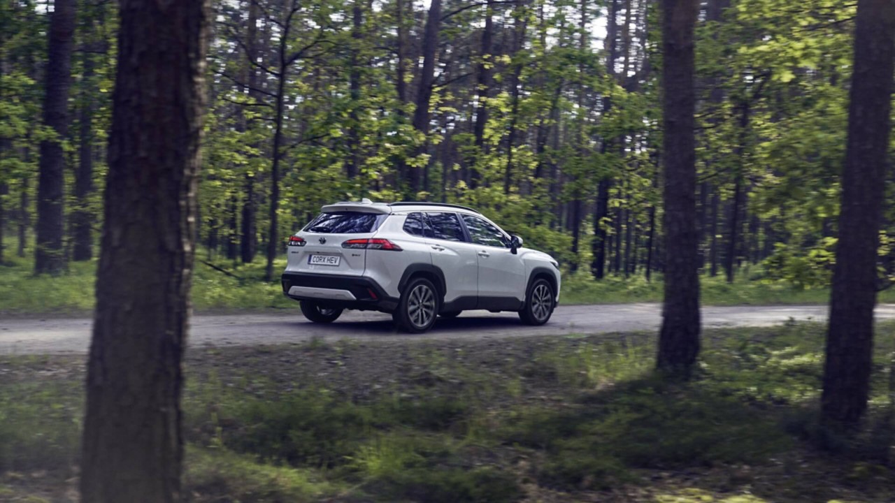 weißer Toyota fährt durch Wald