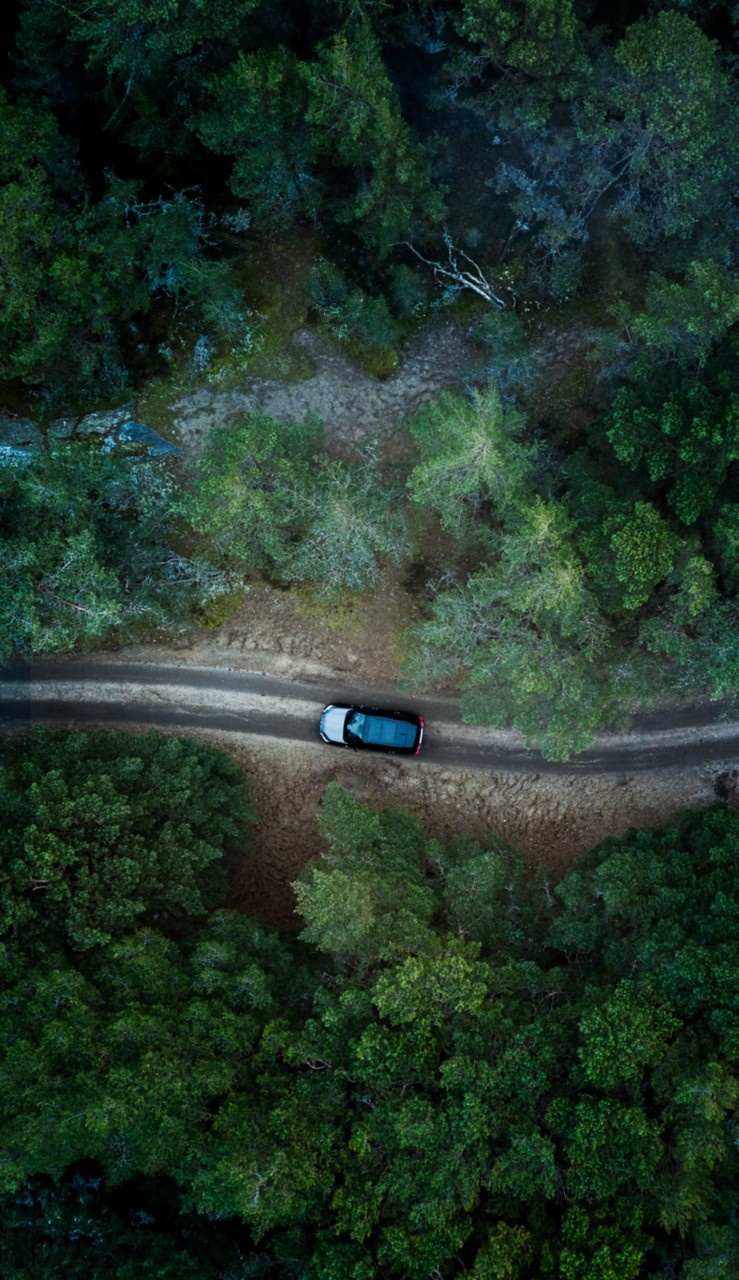 Luftaufnahme eines im Wald fahrenden Autos