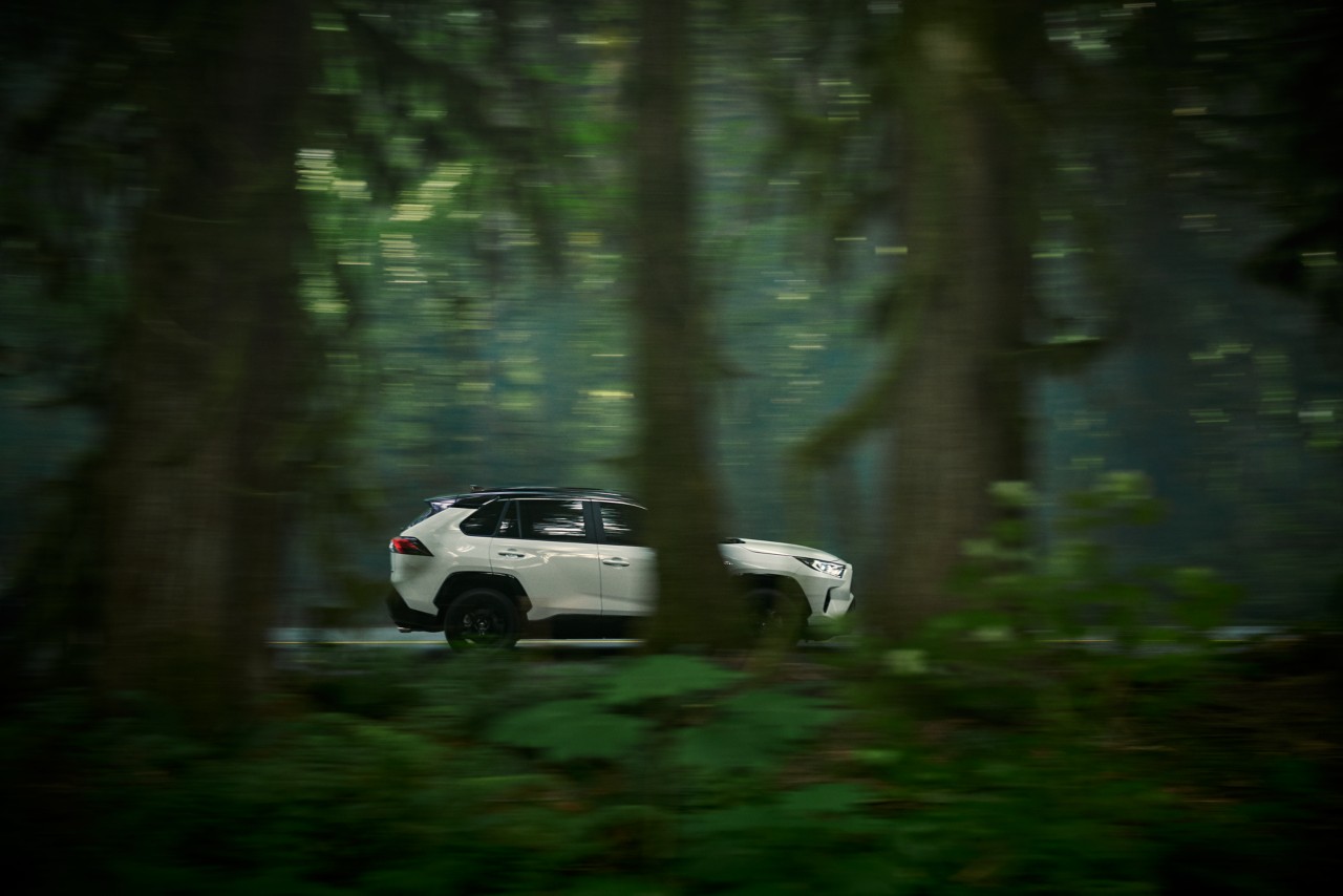 RAV4 im Wald