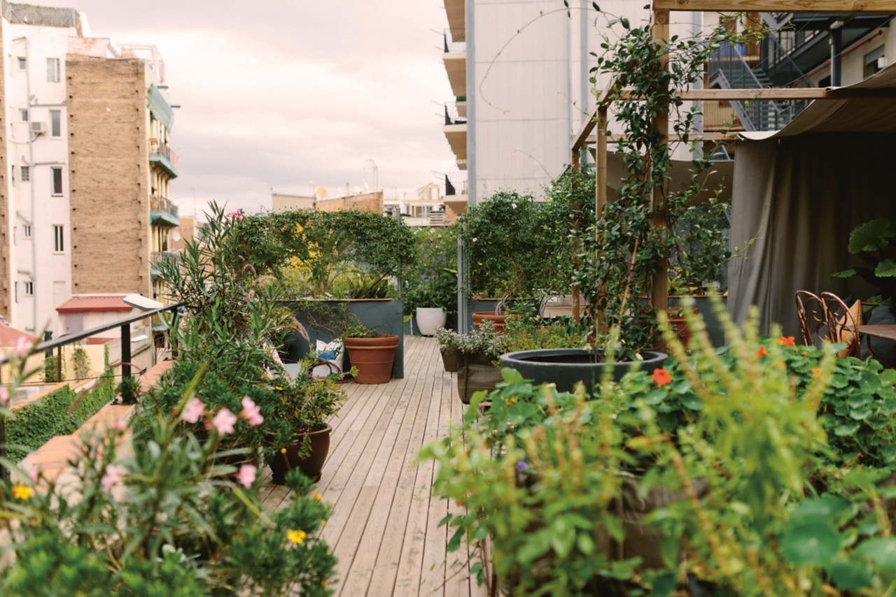 Blumen auf einem Balkon