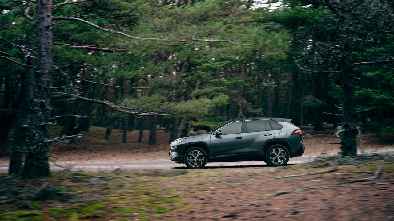 RAV4 PHEV im Wald