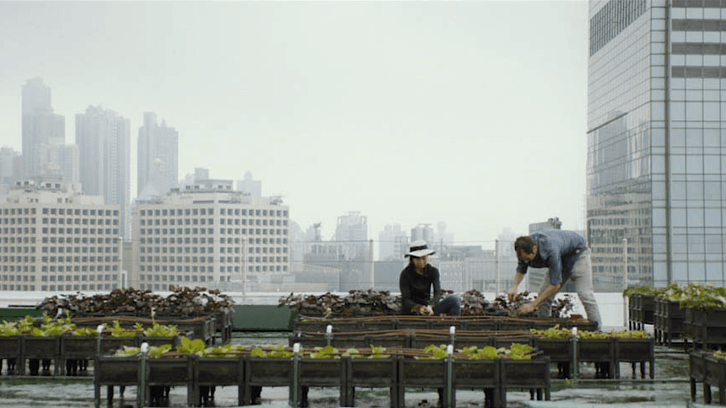 Urban Farming