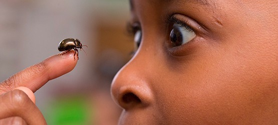 Wir ermuntern Kinder dazu, ihre Umwelt zu entdecken
