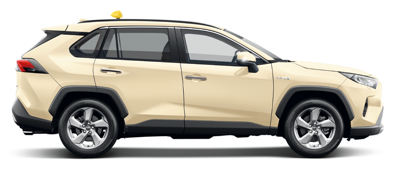 RAV4 Hybrid