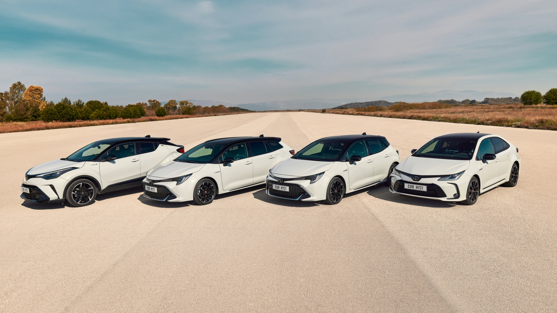 Toyota Hybrid-Flotte