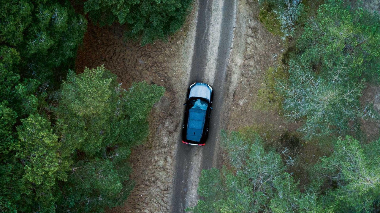 Toyota RAV4 Plug-in Hybrid von oben auf einer Straße durch den Wald