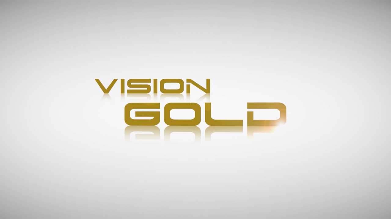 Vision Gold Logo