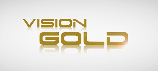 Vision Gold Logo