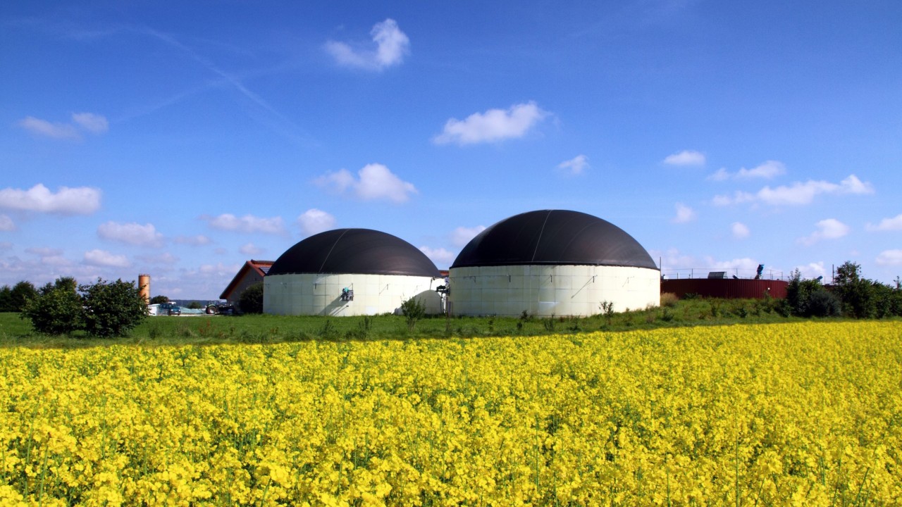 Biodiesel Speichersilos umgeben von Rapsfeldern