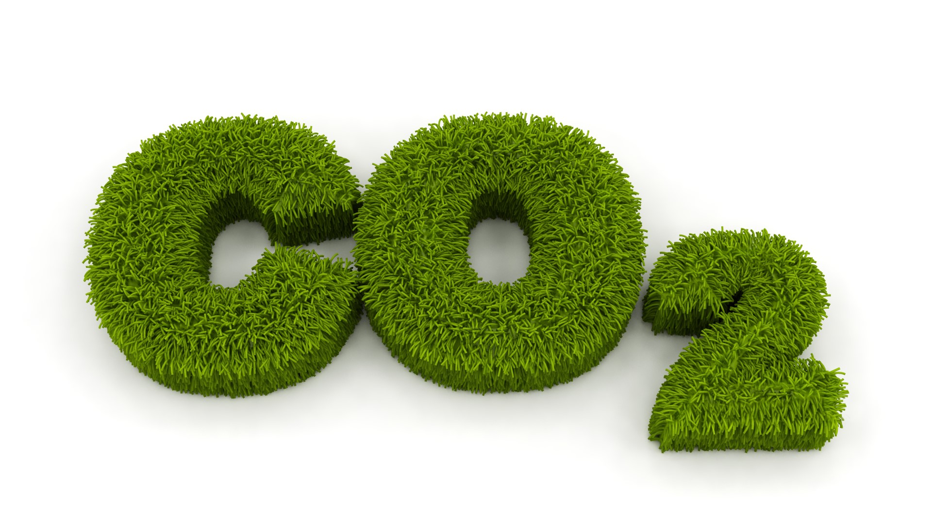 CO2 Illustration aus Gras