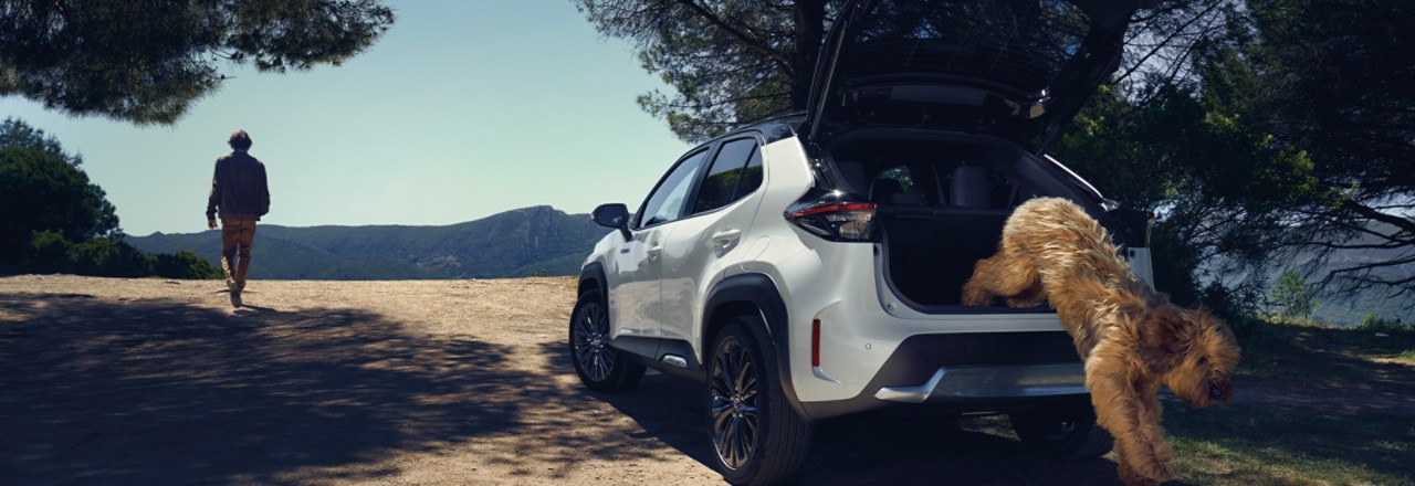 Familie packt Koffer in einen RAV4